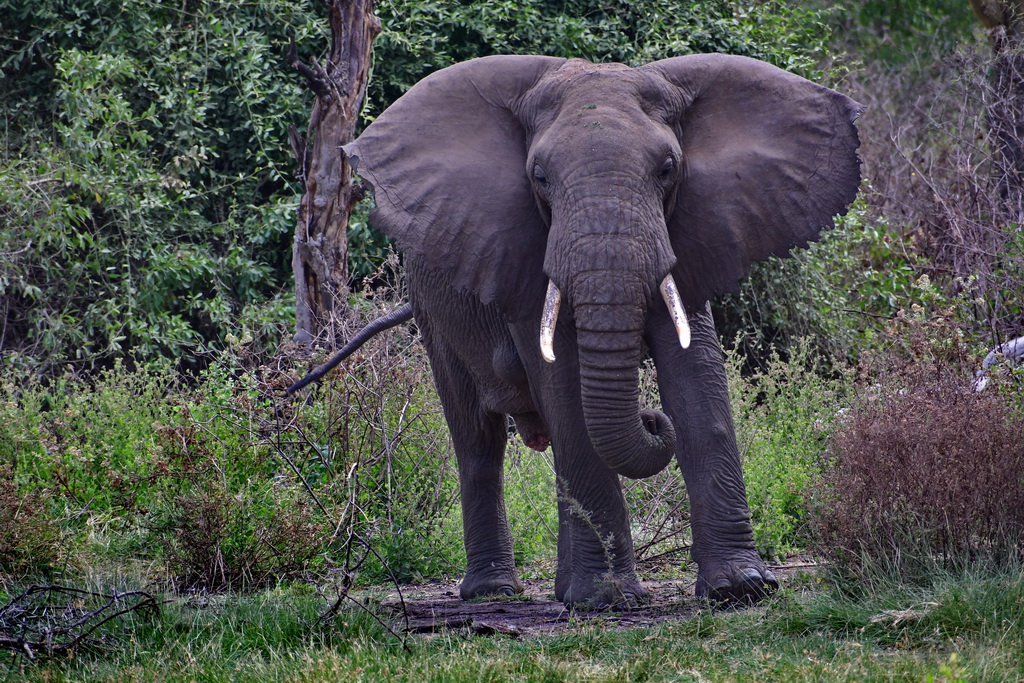 Lake Manyara NP